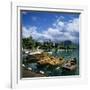 Rowing Boats Along Lake Shore, Talloires, Lake Annecy, Rhone Alpes, France, Europe-Stuart Black-Framed Photographic Print