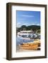 Rowing Boats at Titisee Lake, Titisee-Neustadt, Black Forest, Baden Wurttemberg, Germany, Europe-Markus Lange-Framed Photographic Print