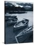 Rowing Boats, Derwent Water, Lake District, Cumbria, UK-Doug Pearson-Stretched Canvas