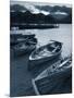 Rowing Boats, Derwent Water, Lake District, Cumbria, UK-Doug Pearson-Mounted Photographic Print