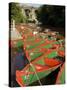 Rowing Boats for Hire on the River Nidd at Knaresborough, Yorkshire, England, United Kingdom-Rob Cousins-Stretched Canvas