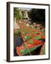 Rowing Boats for Hire on the River Nidd at Knaresborough, Yorkshire, England, United Kingdom-Rob Cousins-Framed Photographic Print