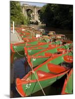 Rowing Boats for Hire on the River Nidd at Knaresborough, Yorkshire, England, United Kingdom-Rob Cousins-Mounted Photographic Print