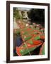 Rowing Boats for Hire on the River Nidd at Knaresborough, Yorkshire, England, United Kingdom-Rob Cousins-Framed Photographic Print