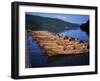 Rowing Boats on Lake, Bowness-On-Windermere, Lake District, Cumbria, England, United Kingdom-David Hunter-Framed Photographic Print