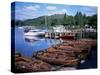 Rowing Boats, Waterhead, Ambleside, Lake Windermere, Lake District, Cumbria-David Hunter-Stretched Canvas