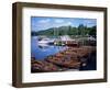 Rowing Boats, Waterhead, Ambleside, Lake Windermere, Lake District, Cumbria-David Hunter-Framed Photographic Print