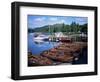 Rowing Boats, Waterhead, Ambleside, Lake Windermere, Lake District, Cumbria-David Hunter-Framed Photographic Print