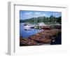 Rowing Boats, Waterhead, Ambleside, Lake Windermere, Lake District, Cumbria-David Hunter-Framed Photographic Print