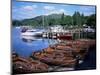 Rowing Boats, Waterhead, Ambleside, Lake Windermere, Lake District, Cumbria-David Hunter-Mounted Photographic Print