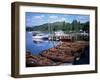 Rowing Boats, Waterhead, Ambleside, Lake Windermere, Lake District, Cumbria-David Hunter-Framed Photographic Print