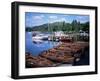 Rowing Boats, Waterhead, Ambleside, Lake Windermere, Lake District, Cumbria-David Hunter-Framed Photographic Print