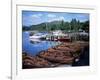 Rowing Boats, Waterhead, Ambleside, Lake Windermere, Lake District, Cumbria-David Hunter-Framed Photographic Print