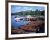 Rowing Boats, Waterhead, Ambleside, Lake Windermere, Lake District, Cumbria-David Hunter-Framed Photographic Print