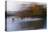 Rowing Eight-Charles Bowman-Stretched Canvas