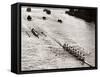 Rowing, Oxford V Cambridge Boat Race, 1928-null-Framed Stretched Canvas