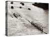 Rowing, Oxford V Cambridge Boat Race, 1928-null-Stretched Canvas