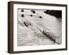 Rowing, Oxford V Cambridge Boat Race, 1928-null-Framed Premium Photographic Print