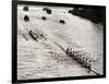 Rowing, Oxford V Cambridge Boat Race, 1928-null-Framed Photographic Print