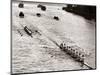 Rowing, Oxford V Cambridge Boat Race, 1928-null-Mounted Photographic Print