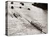 Rowing, Oxford V Cambridge Boat Race, 1928-null-Stretched Canvas