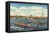 Rowing Regatta, Palm Beach, Florida-null-Framed Stretched Canvas