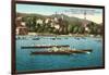 Rowing Regatta-null-Framed Art Print