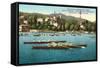 Rowing Regatta-null-Framed Stretched Canvas