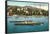 Rowing Regatta-null-Framed Stretched Canvas