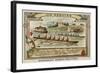 Rowing Regatta-null-Framed Giclee Print