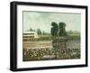 Rowing Scene: Crowds Watching from the River Banks, C. 1880-99-E. Levy-Framed Art Print