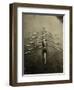 Rowing Team, C1913-null-Framed Premium Photographic Print