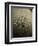 Rowing Team, C1913-null-Framed Premium Photographic Print