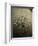 Rowing Team, C1913-null-Framed Premium Photographic Print