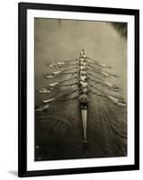 Rowing Team, C1913-null-Framed Photographic Print