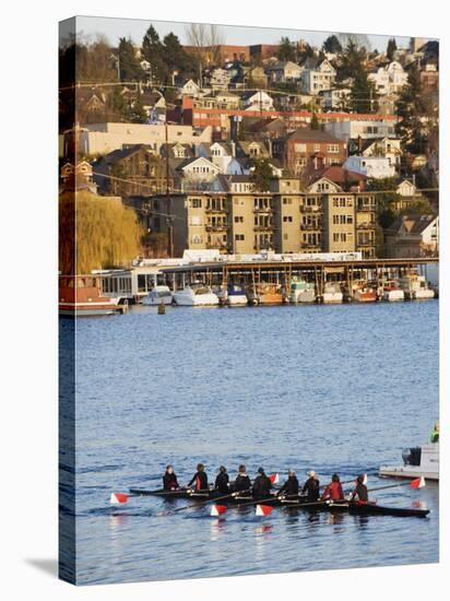 Rowing Team on Lake Union, Seattle, Washington State, United States of America, North America-Christian Kober-Stretched Canvas