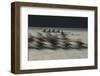 Rowing-Milan Malovrh-Framed Photographic Print