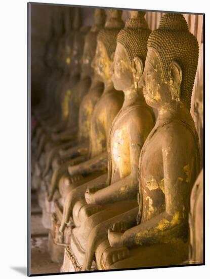 Rows of Buddha Statues, Wat Si Saket, Vientiane, Laos-Michele Falzone-Mounted Photographic Print