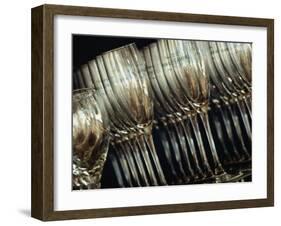 Rows of Champagne Flutes and Wine Glasses in Bar Melbourne, Victoria, Australia-John Hay-Framed Premium Photographic Print