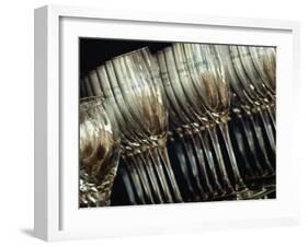 Rows of Champagne Flutes and Wine Glasses in Bar Melbourne, Victoria, Australia-John Hay-Framed Premium Photographic Print