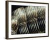 Rows of Champagne Flutes and Wine Glasses in Bar Melbourne, Victoria, Australia-John Hay-Framed Photographic Print