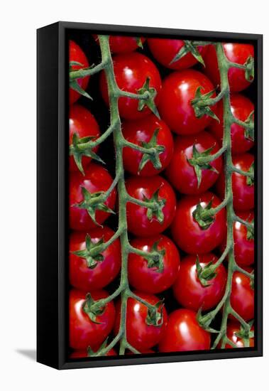 Rows Of Cherry Tomatoes-Charles Bowman-Framed Stretched Canvas