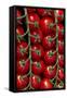 Rows Of Cherry Tomatoes-Charles Bowman-Framed Stretched Canvas