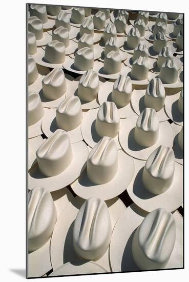 Rows of Cowboy Hats-Danny Lehman-Mounted Photographic Print