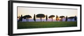 Rows of Cypress and Parasol Pine Trees, Sunrise, Grosseto Province, Tuscany, Italy-Bruno Morandi-Framed Photographic Print