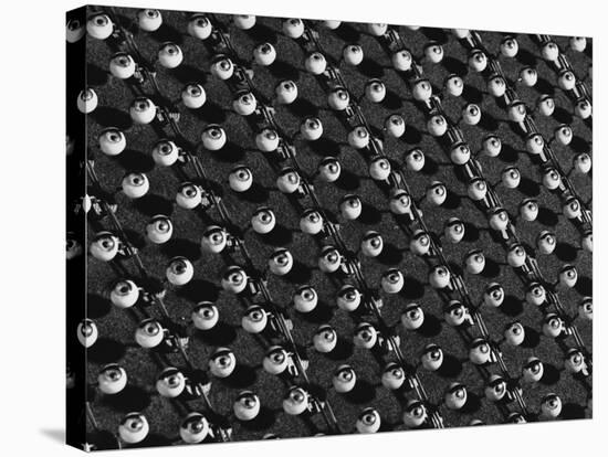 Rows of Doll's Eyes-null-Stretched Canvas