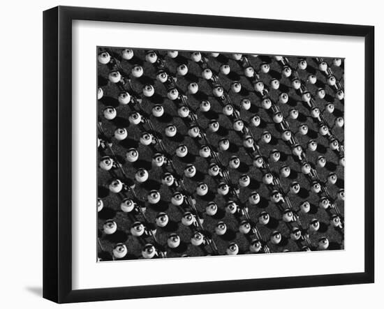 Rows of Doll's Eyes-null-Framed Premium Photographic Print