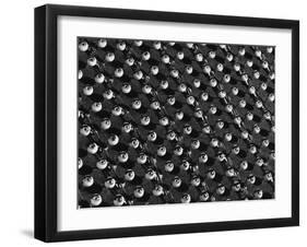 Rows of Doll's Eyes-null-Framed Premium Photographic Print