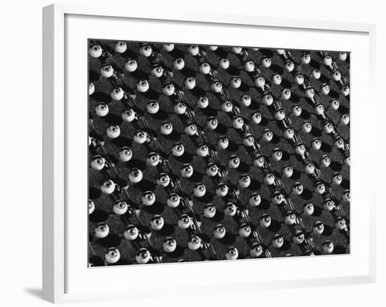 Rows of Doll's Eyes-null-Framed Photographic Print