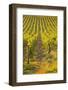 Rows of Grape Vines in Vineyard Near to Vezelay in Burgundy, France, Europe-Julian Elliott-Framed Photographic Print